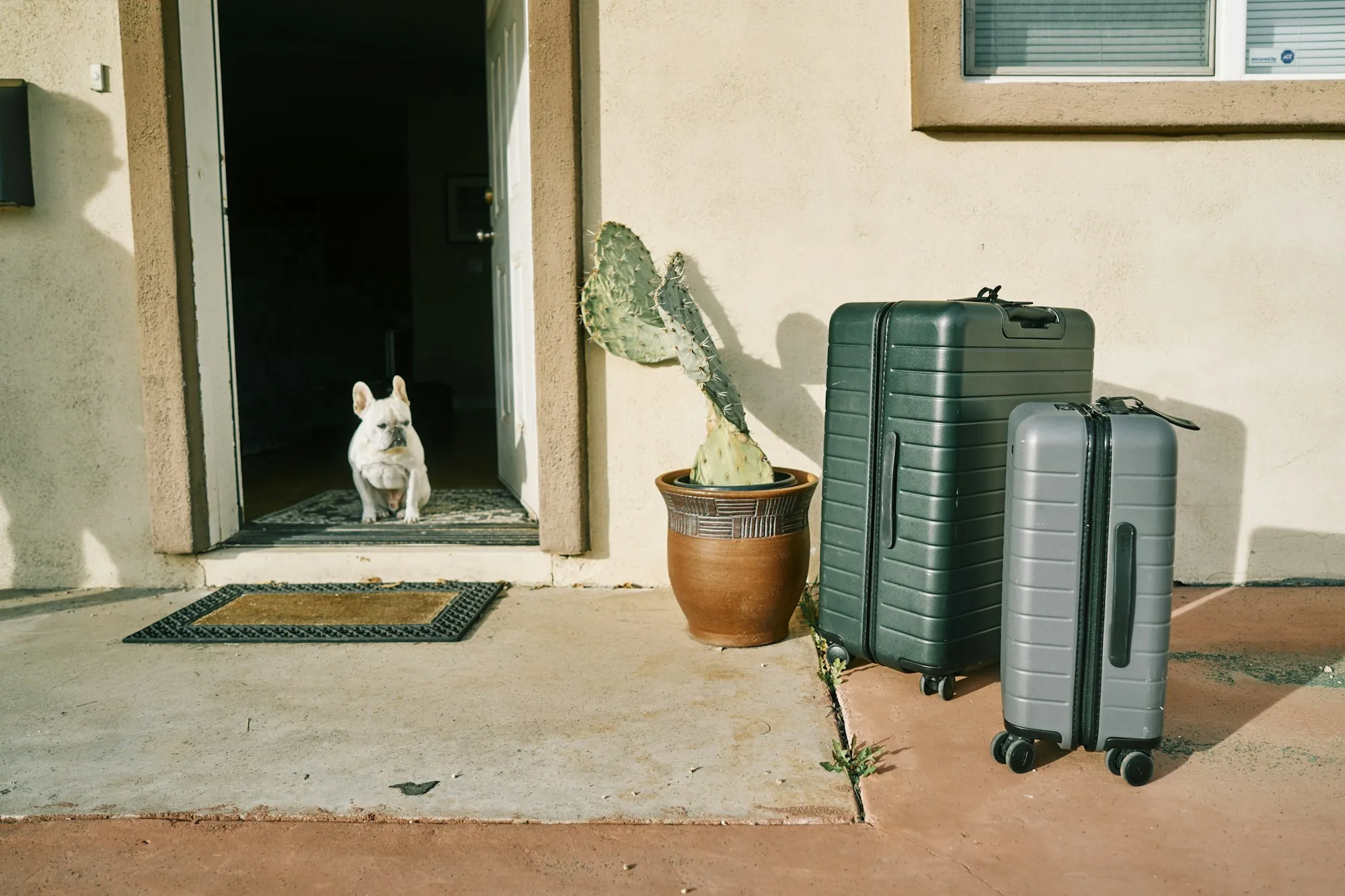 A French bulldog waiting in an open doorway, with two suitcases by the door